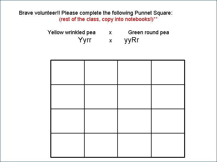 Brave volunteer!! Please complete the following Punnet Square: (rest of the class, copy into