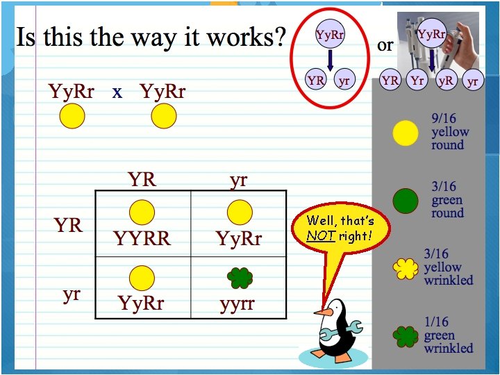 Well, that’s NOT right! 