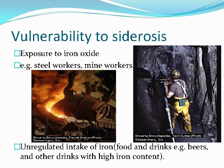 Vulnerability to siderosis �Exposure to iron oxide �e. g. steel workers, mine workers. �Unregulated