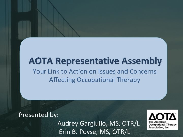 AOTA Representative Assembly Your Link to Action on Issues and Concerns Affecting Occupational Therapy