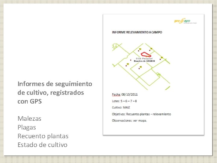 Informes de seguimiento de cultivo, registrados con GPS Malezas Plagas Recuento plantas Estado de