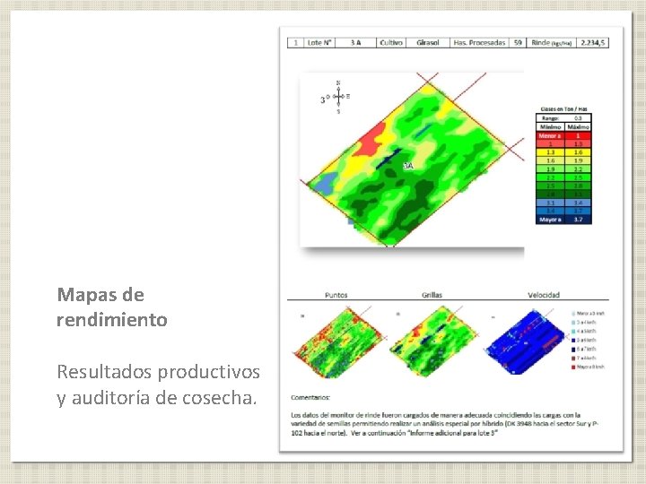 Mapas de rendimiento Resultados productivos y auditoría de cosecha. 