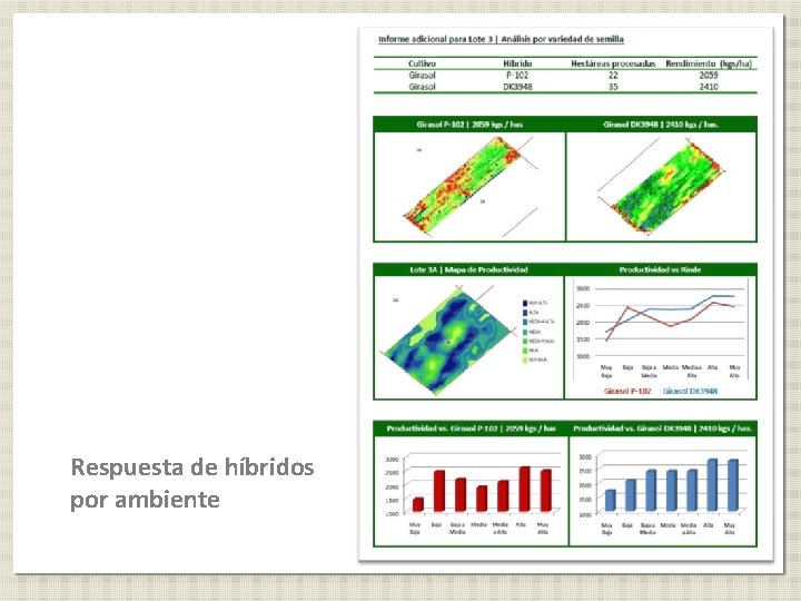 Respuesta de híbridos por ambiente 