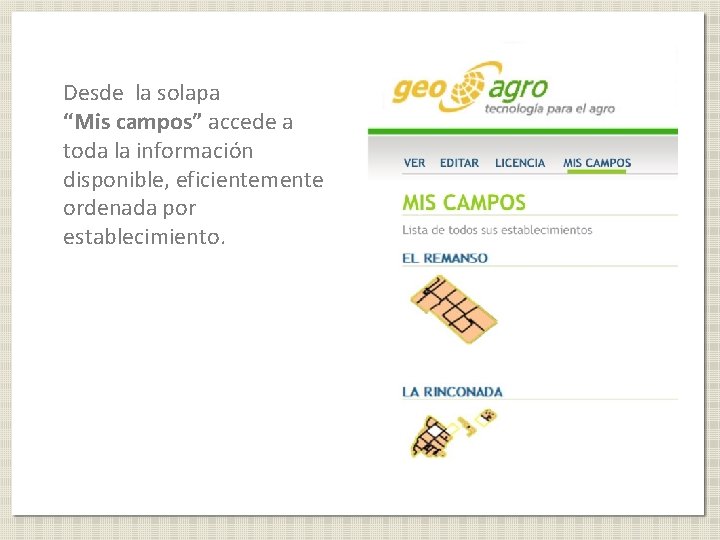Desde la solapa “Mis campos” accede a toda la información disponible, eficientemente ordenada por