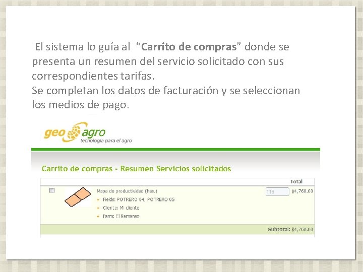 El sistema lo guía al “Carrito de compras” donde se presenta un resumen del
