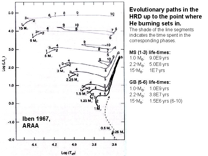 Evolutionary paths in the HRD up to the point where He burning sets in.