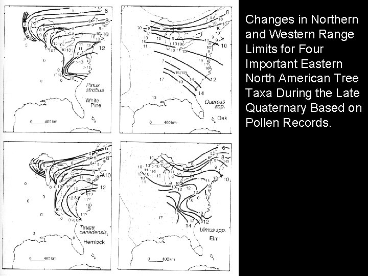 Changes in Northern and Western Range Limits for Four Important Eastern North American Tree