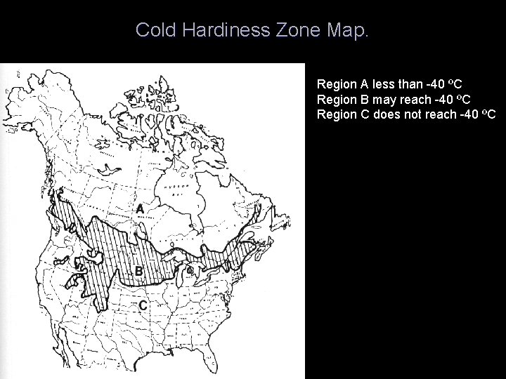 Cold Hardiness Zone Map. Region A less than -40 ºC Region B may reach