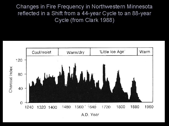 Changes in Fire Frequency in Northwestern Minnesota reflected in a Shift from a 44