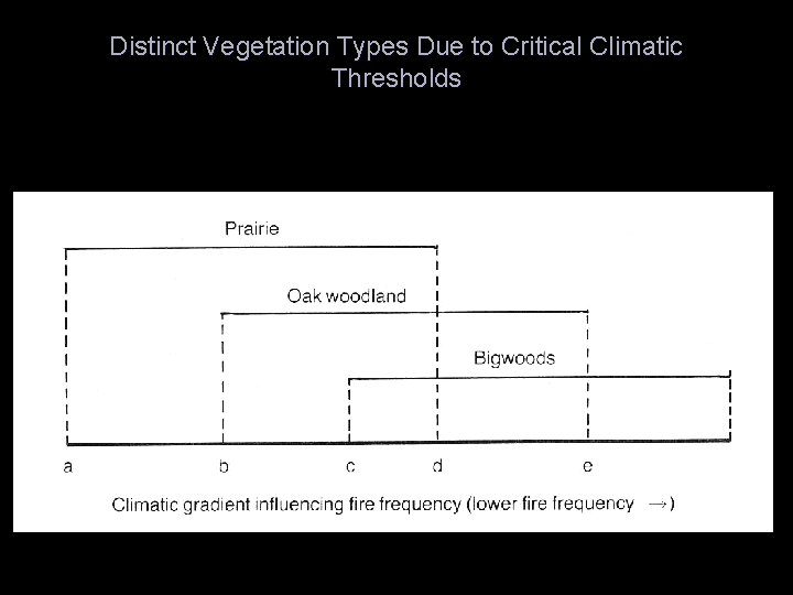 Distinct Vegetation Types Due to Critical Climatic Thresholds 