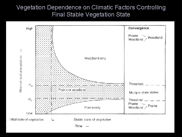 Vegetation Dependence on Climatic Factors Controlling Final Stable Vegetation State 