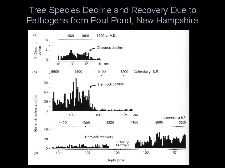 Tree Species Decline and Recovery Due to Pathogens from Pout Pond, New Hampshire 