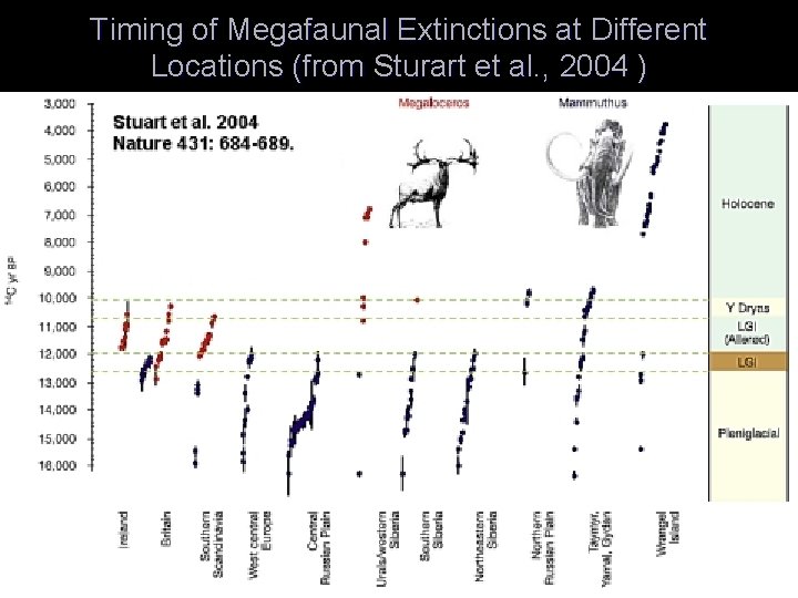 Timing of Megafaunal Extinctions at Different Locations (from Sturart et al. , 2004 )