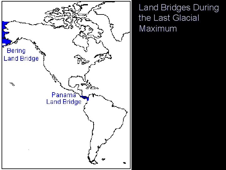 Land Bridges During the Last Glacial Maximum 