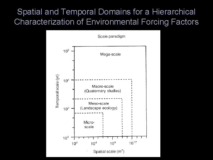 Spatial and Temporal Domains for a Hierarchical Characterization of Environmental Forcing Factors 