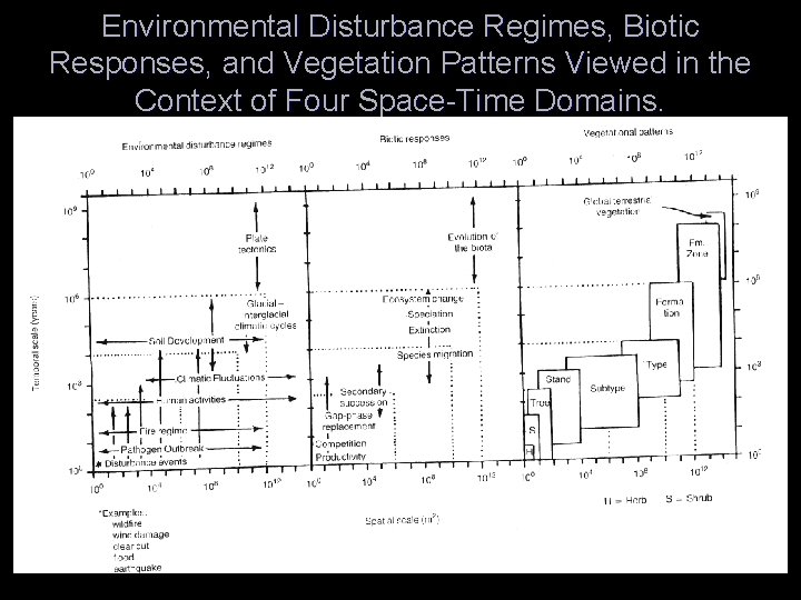 Environmental Disturbance Regimes, Biotic Responses, and Vegetation Patterns Viewed in the Context of Four