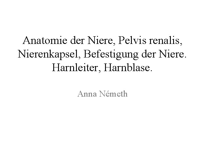 Anatomie der Niere, Pelvis renalis, Nierenkapsel, Befestigung der Niere. Harnleiter, Harnblase. Anna Németh 