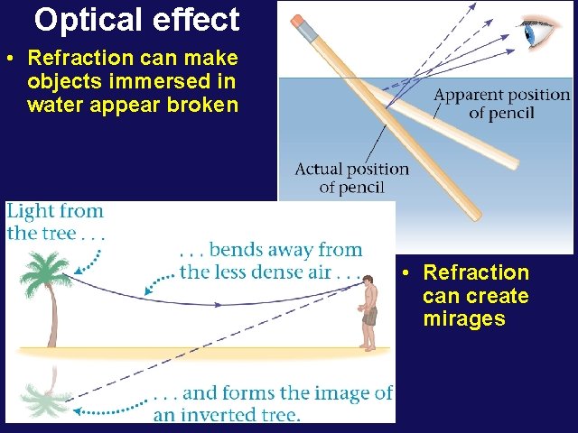 Optical effect • Refraction can make objects immersed in water appear broken • Refraction