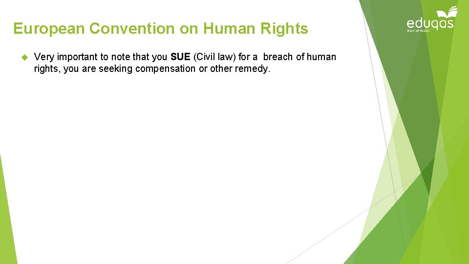 European Convention on Human Rights Very important to note that you SUE (Civil law)