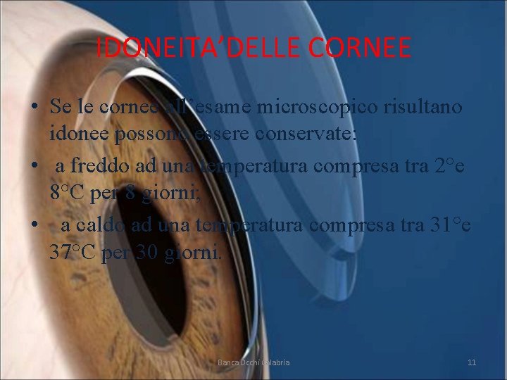 IDONEITA’DELLE CORNEE • Se le cornee all’esame microscopico risultano idonee possono essere conservate: •