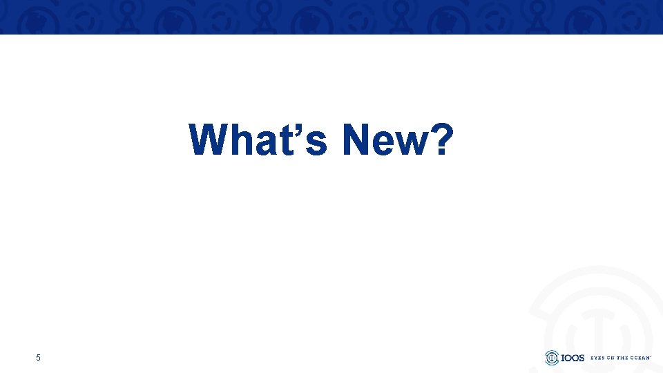 What’s New? 5 