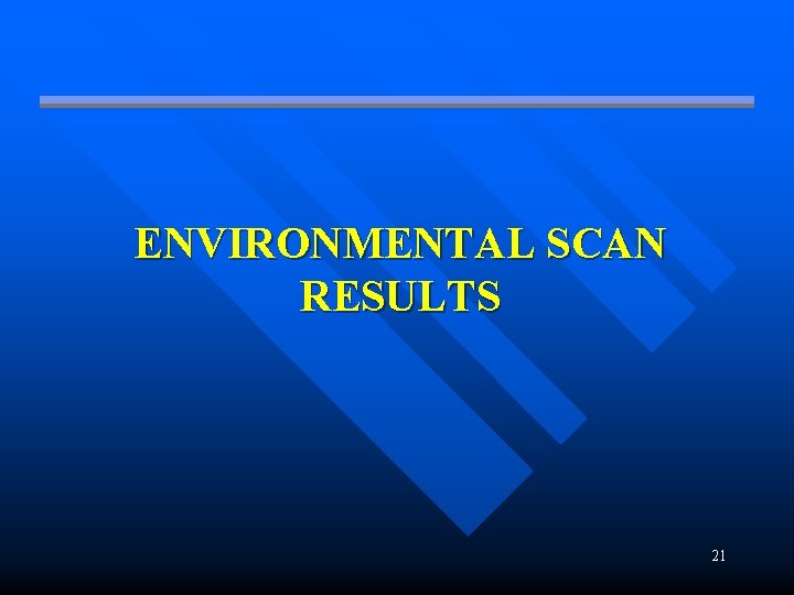 ENVIRONMENTAL SCAN RESULTS 21 