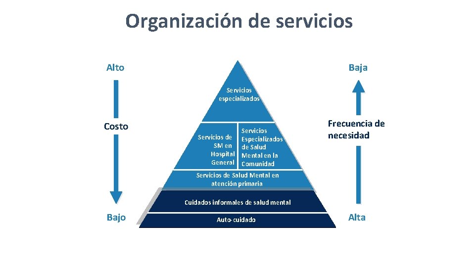 Organización de servicios Alto Baja Servicios especializados Costo Servicios de SM en Hospital General