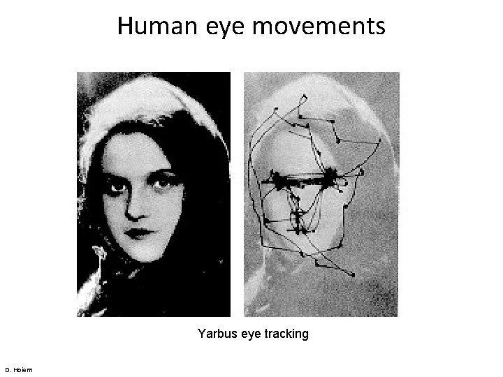 Human eye movements Yarbus eye tracking D. Hoiem 