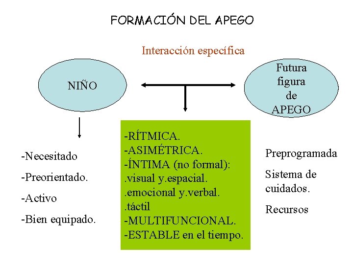 FORMACIÓN DEL APEGO Interacción específica Futura figura de APEGO NIÑO -Necesitado -Preorientado. -Activo -Bien