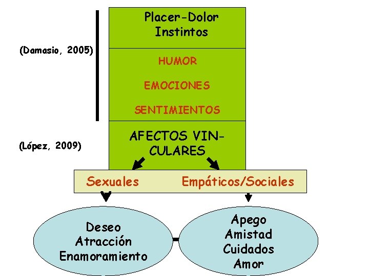 Placer-Dolor Instintos (Damasio, 2005) HUMOR EMOCIONES SENTIMIENTOS (López, 2009) AFECTOS VINCULARES Sexuales Deseo Atracción