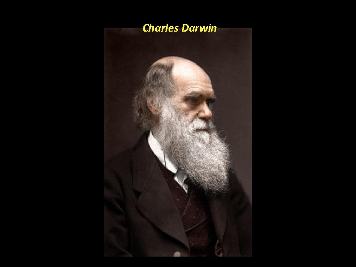 Charles Darwin 