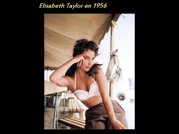 Elisabeth Taylor en 1956 