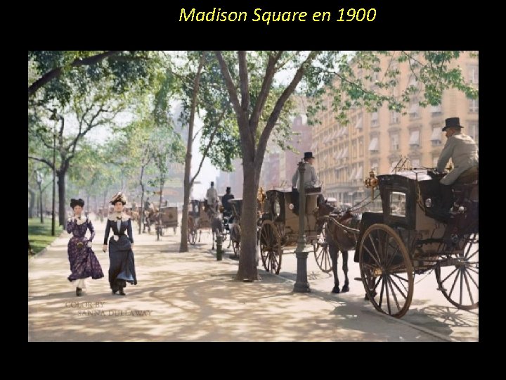 Madison Square en 1900 