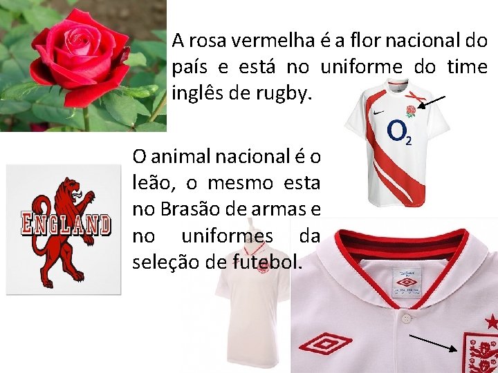 A rosa vermelha é a flor nacional do país e está no uniforme do