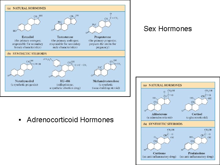 Sex Hormones • Adrenocorticoid Hormones 