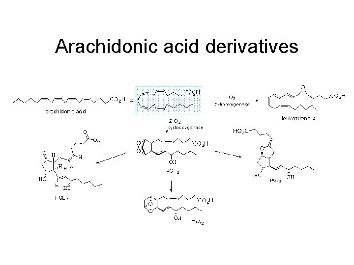 Arachidonic acid derivatives 