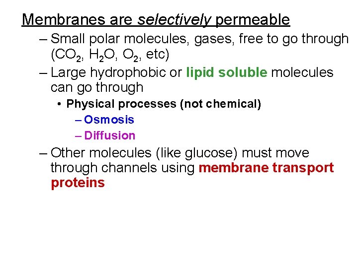 Membranes are selectively permeable – Small polar molecules, gases, free to go through (CO