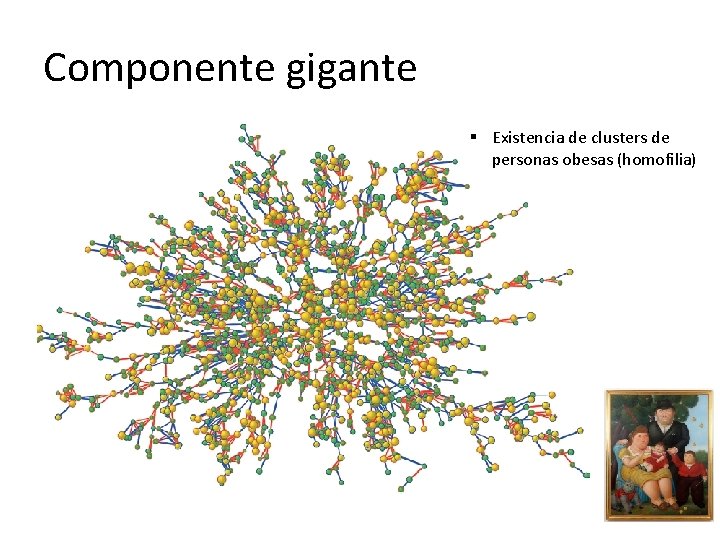Componente gigante § Existencia de clusters de personas obesas (homofilia) 