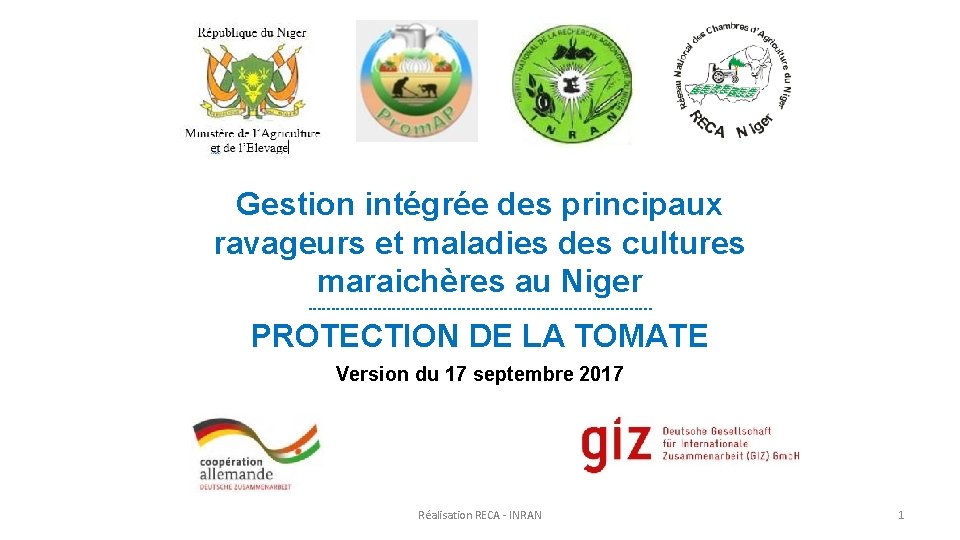 Gestion intégrée des principaux ravageurs et maladies des cultures maraichères au Niger ------------------------------------- PROTECTION