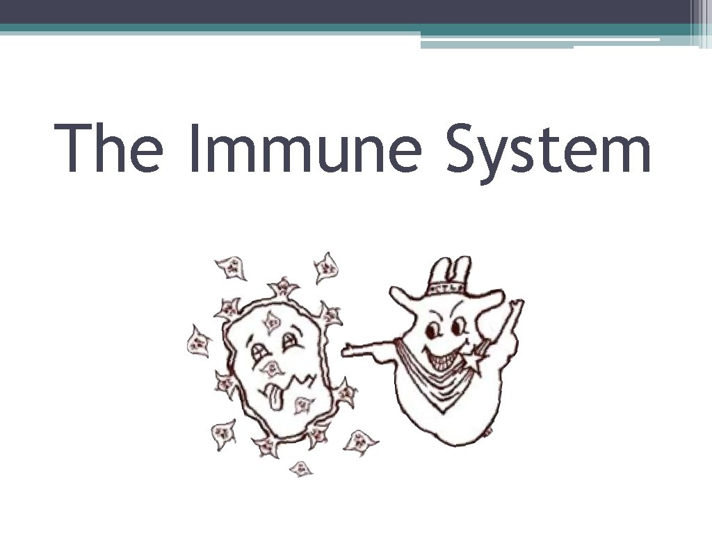 The Immune System 
