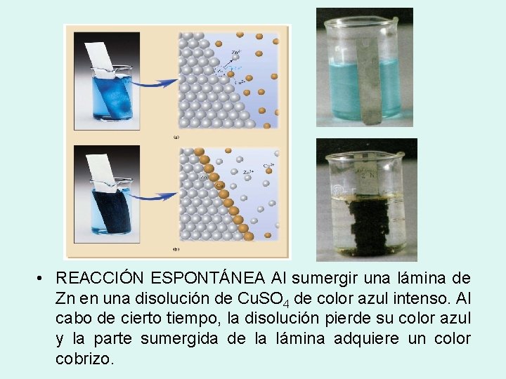  • REACCIÓN ESPONTÁNEA Al sumergir una lámina de Zn en una disolución de