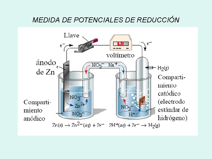 MEDIDA DE POTENCIALES DE REDUCCIÓN 