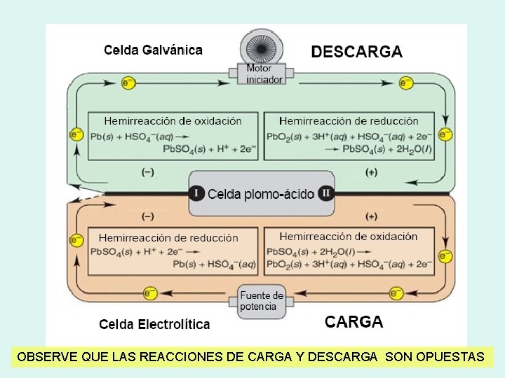 OBSERVE QUE LAS REACCIONES DE CARGA Y DESCARGA SON OPUESTAS 