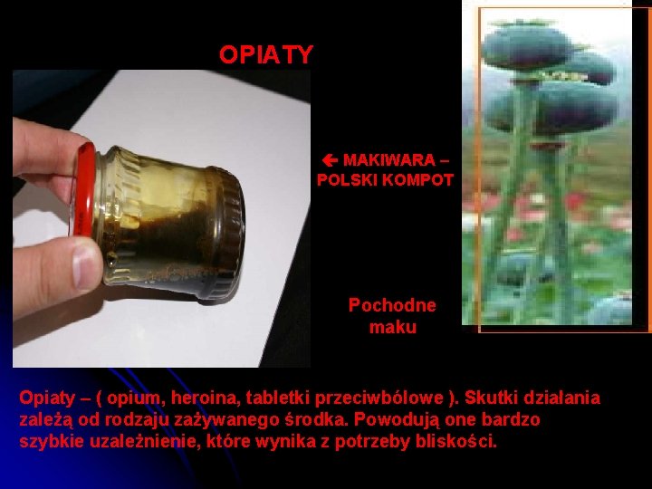  OPIATY MAKIWARA – POLSKI KOMPOT Pochodne maku Opiaty – ( opium, heroina, tabletki