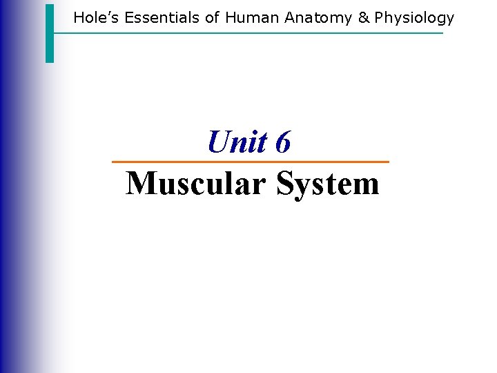Hole’s Essentials of Human Anatomy & Physiology Unit 6 Muscular System 