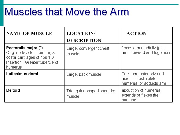 Muscles that Move the Arm NAME OF MUSCLE Pectoralis major (*) Origin: clavicle, sternum,