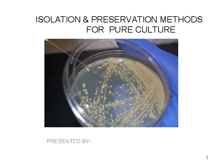 ISOLATION & PRESERVATION METHODS FOR PURE CULTURE 1 