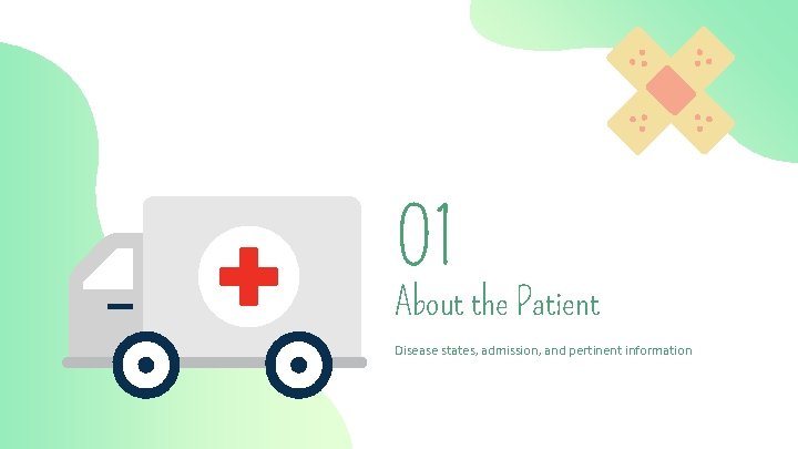 01 About the Patient Disease states, admission, and pertinent information 