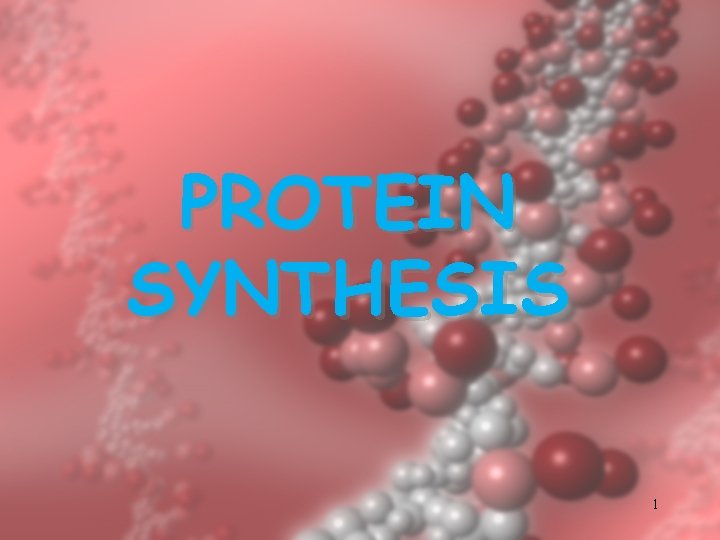 PROTEIN SYNTHESIS 1 PROTEIN SYNTHESIS 1