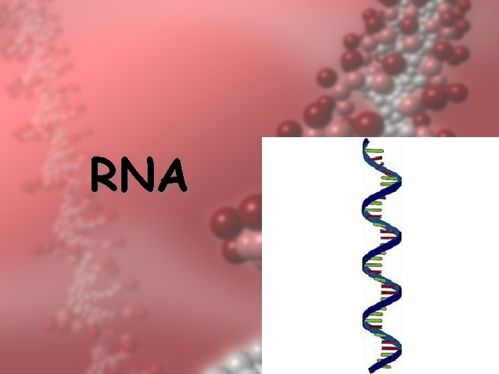 RNA 10 RNA 10